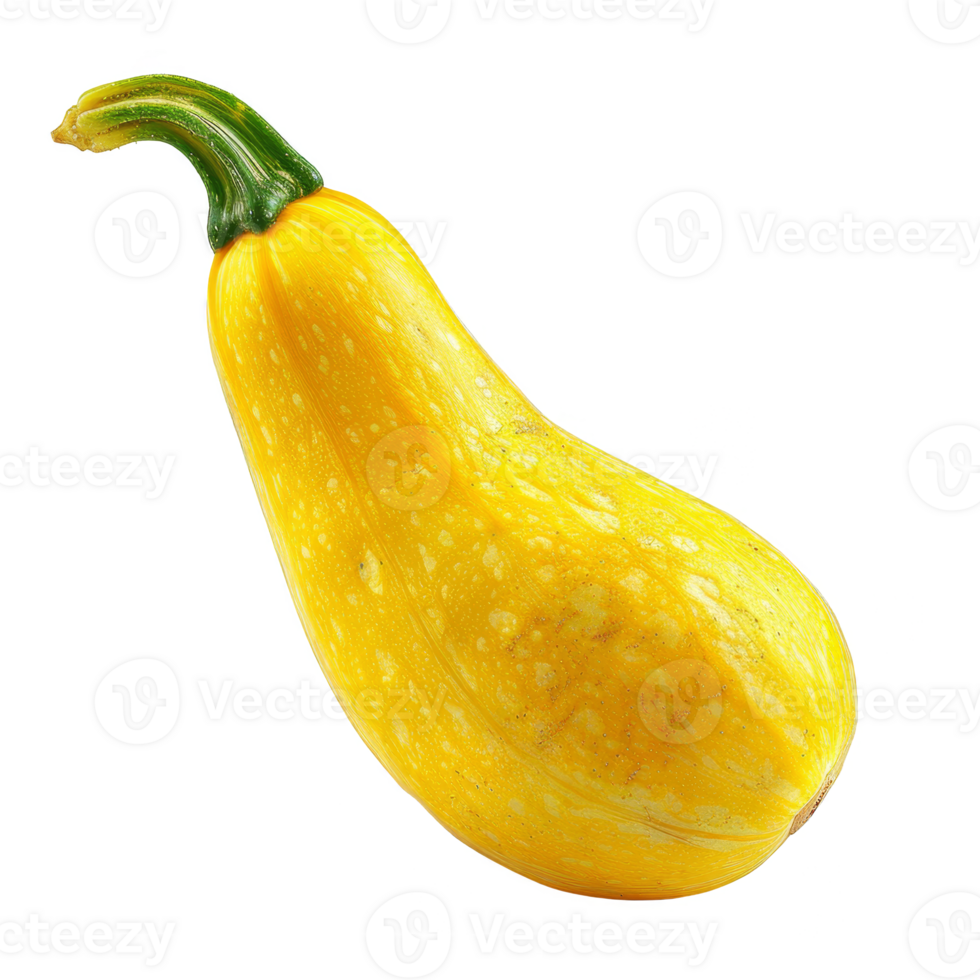 Squash Isolated on a Transparent Background png