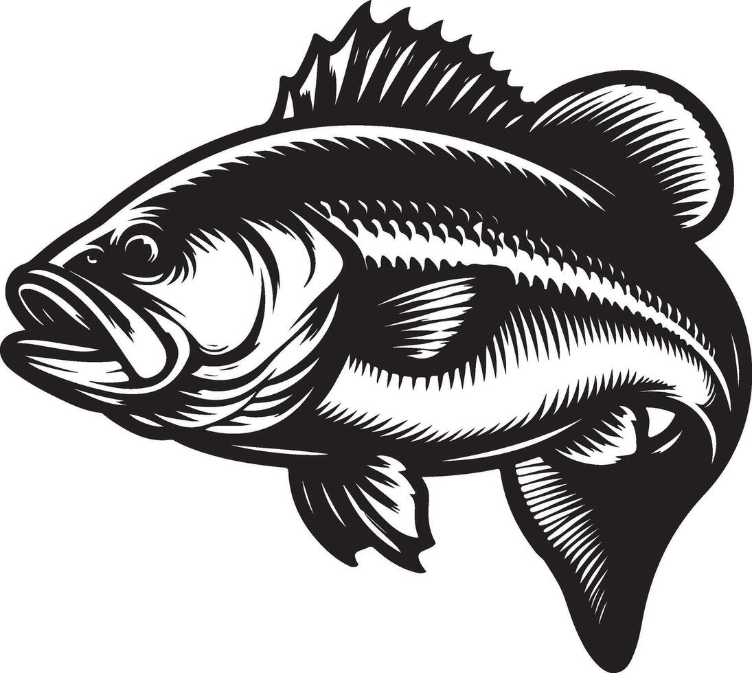 simple bass fish vector