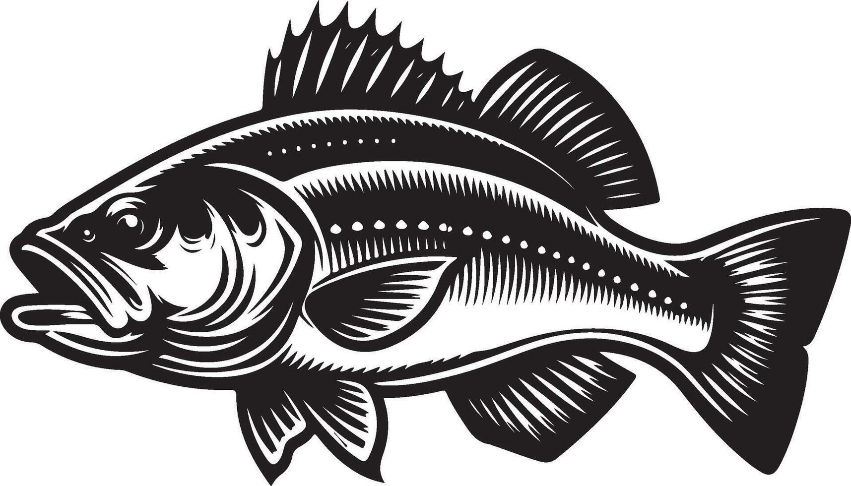 simple bass fish vector