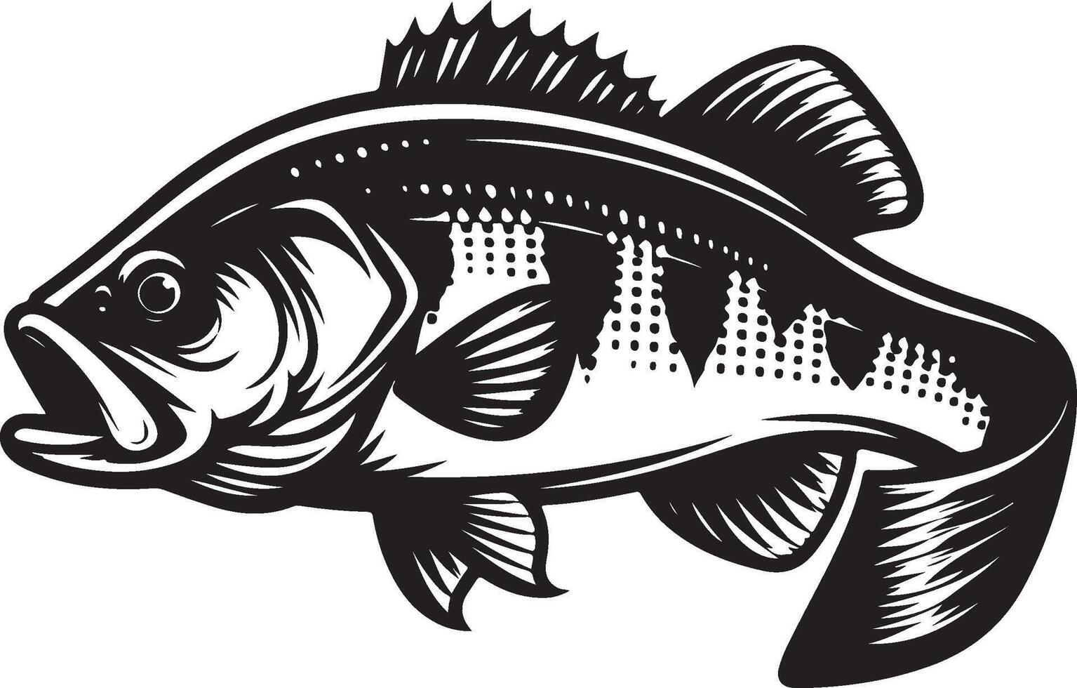 simple bass fish vector