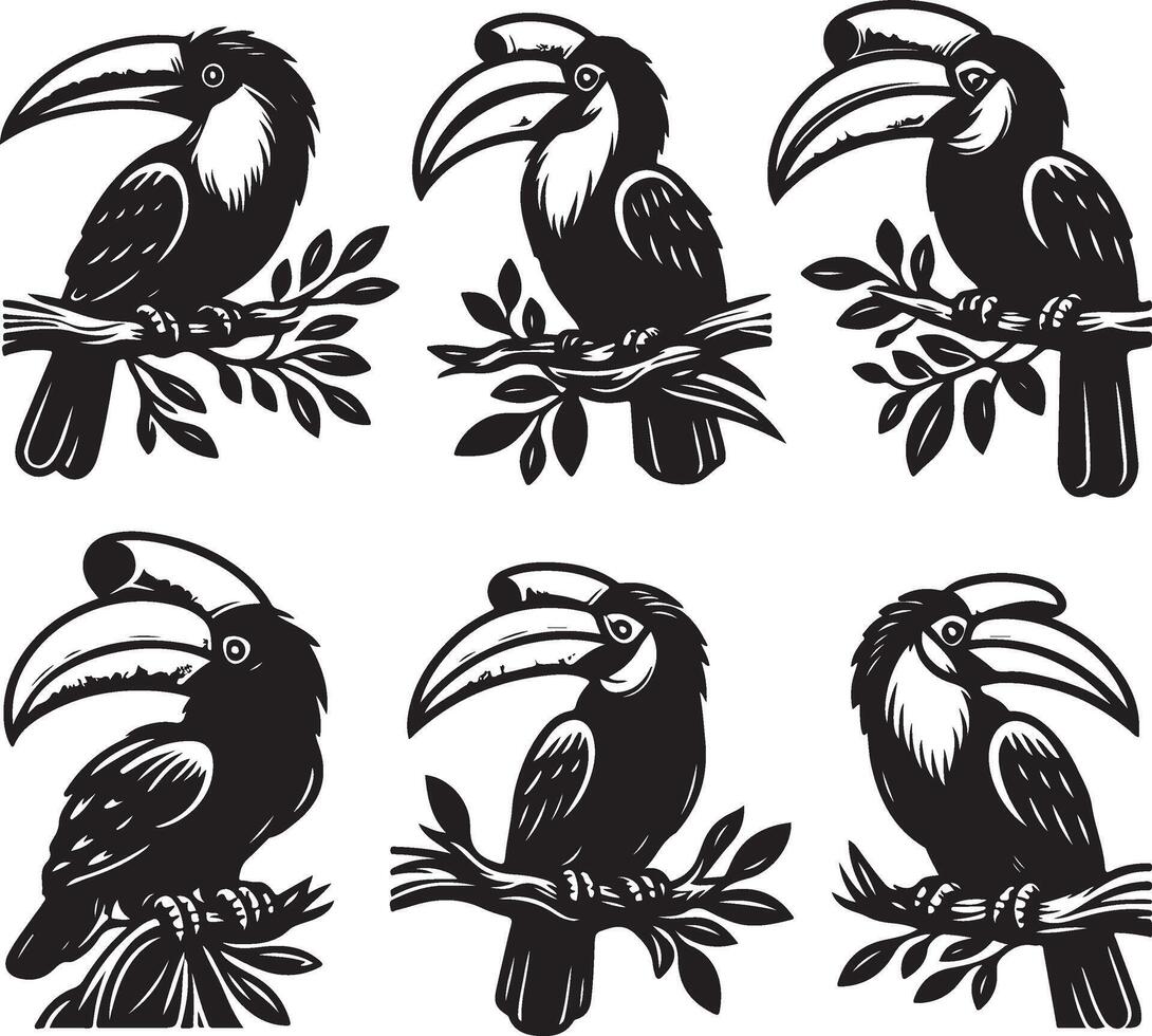 simple hornbill bundle vector