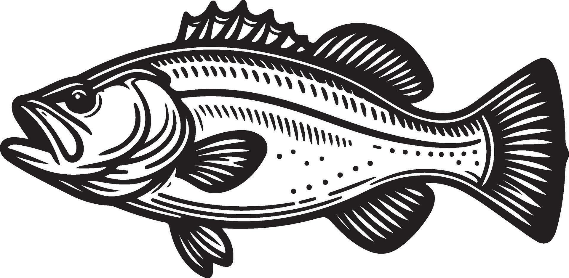 simple bass fish vector