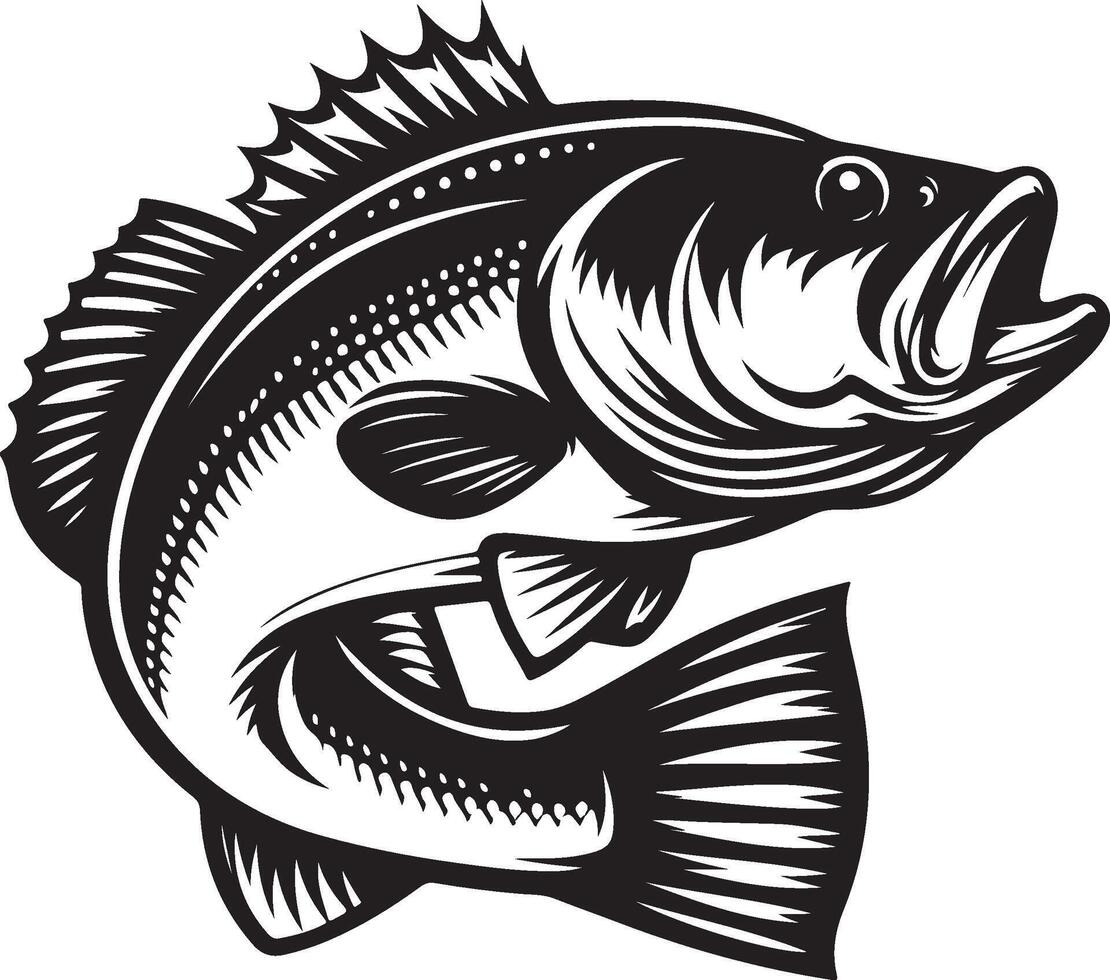 simple bass fish vector