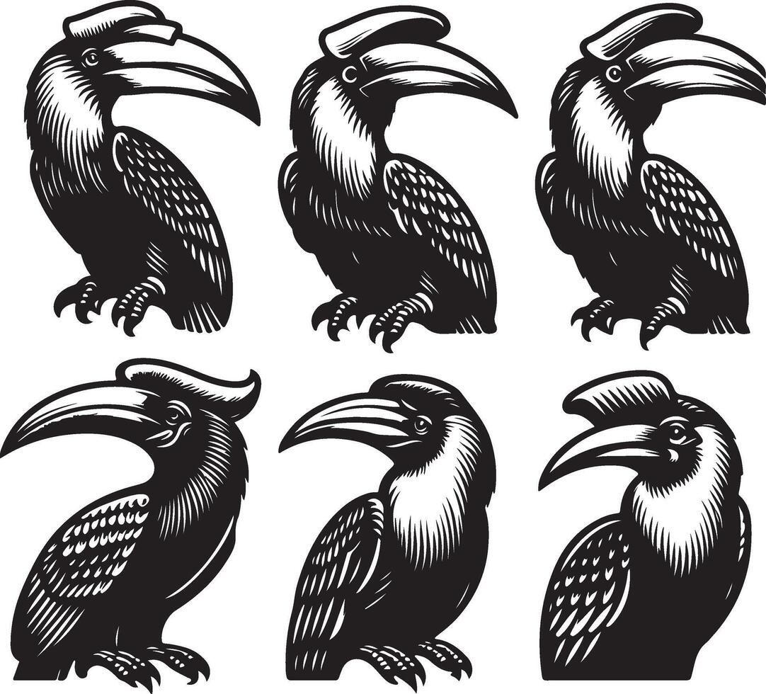 simple hornbill bundle vector