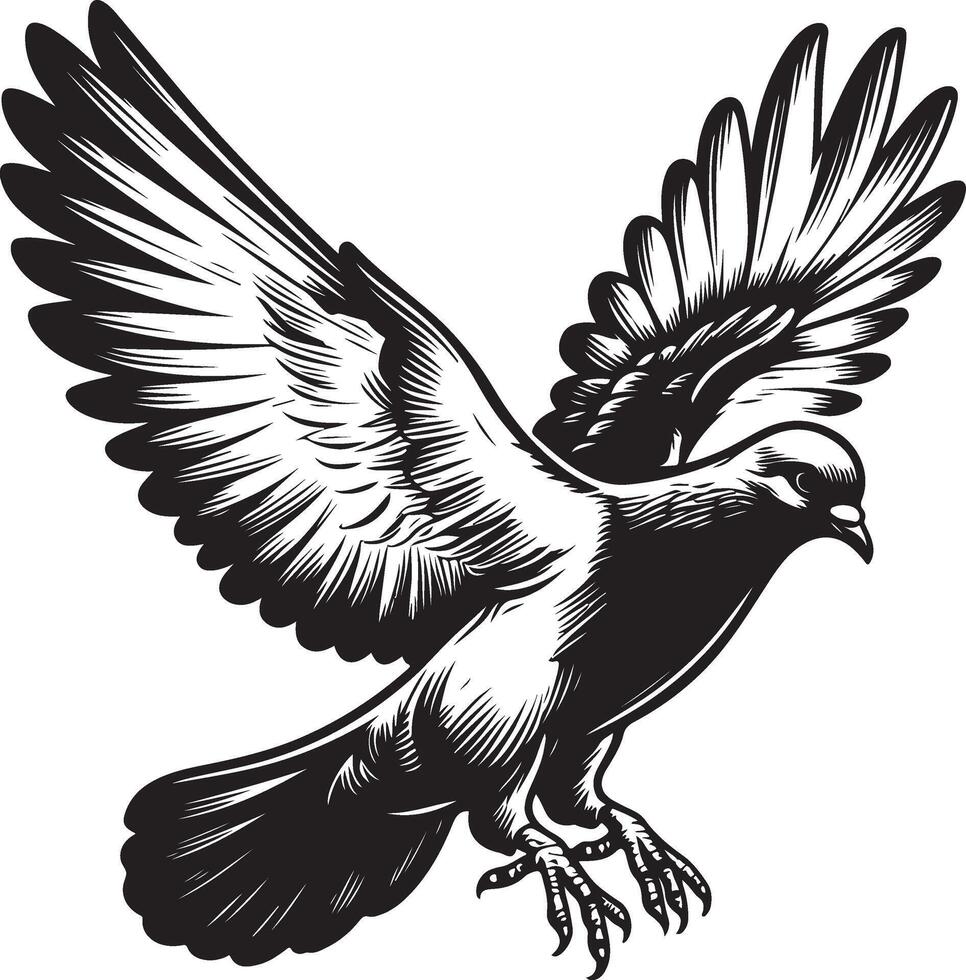 pigeon sketch black vector