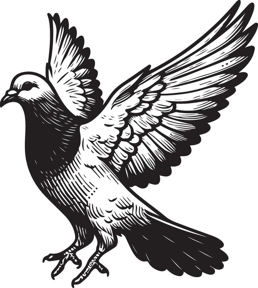 pigeon sketch black vector