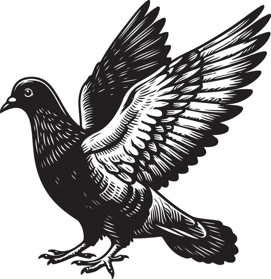 pigeon sketch black vector