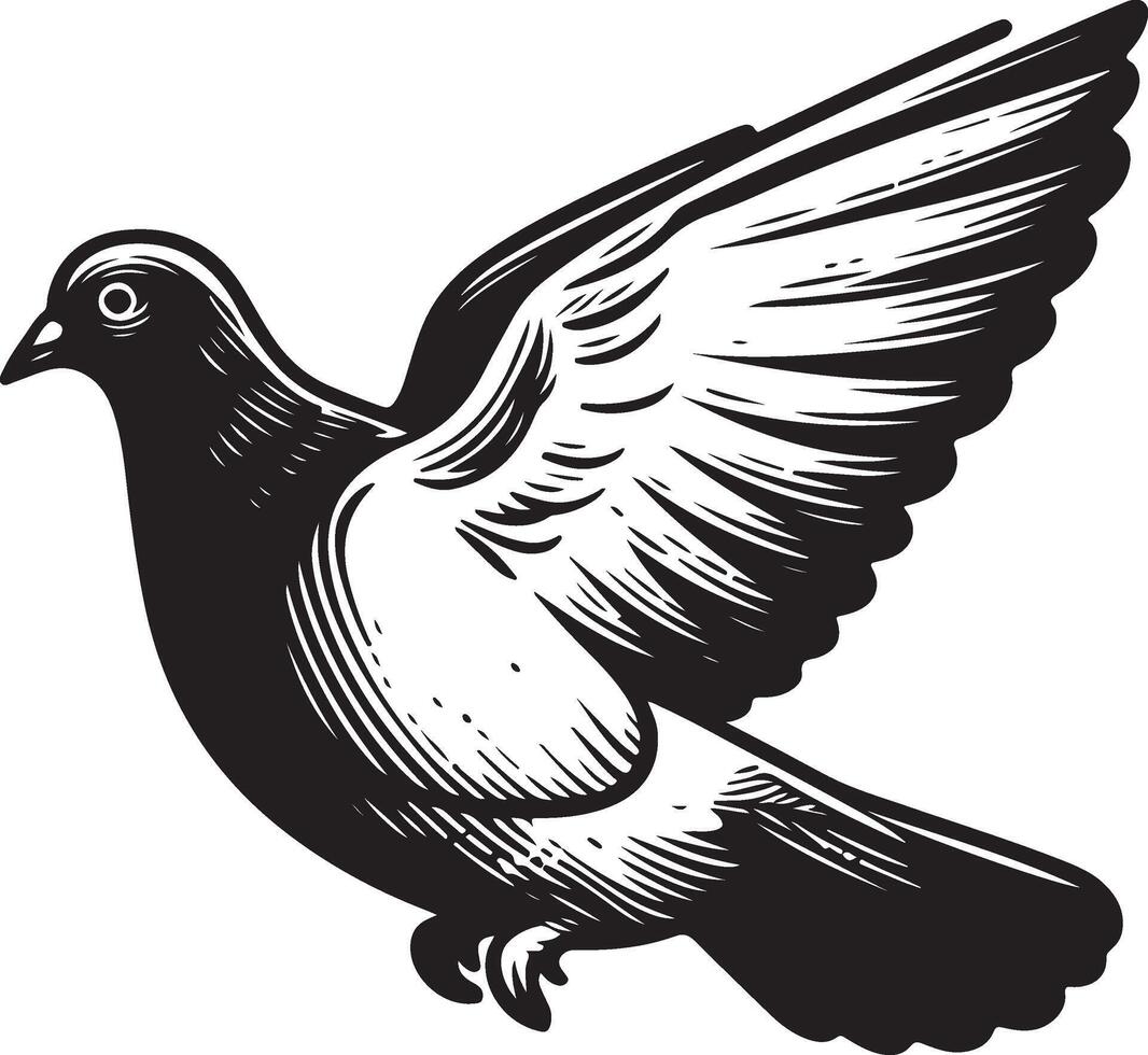pigeon sketch black vector