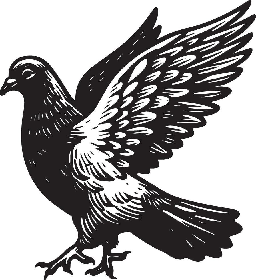 pigeon sketch black vector