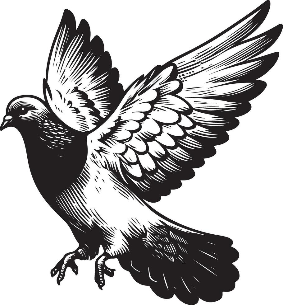 pigeon sketch black vector