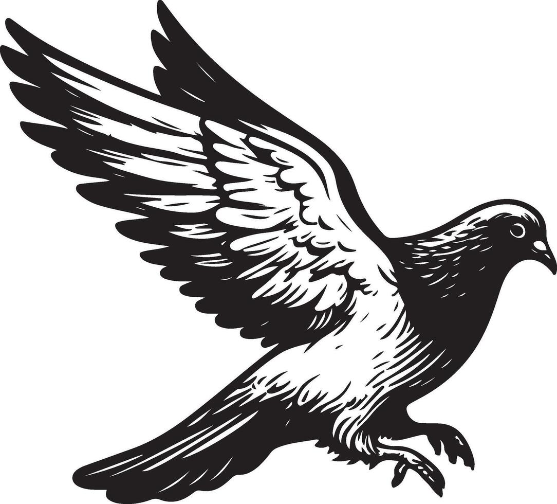 pigeon sketch black vector