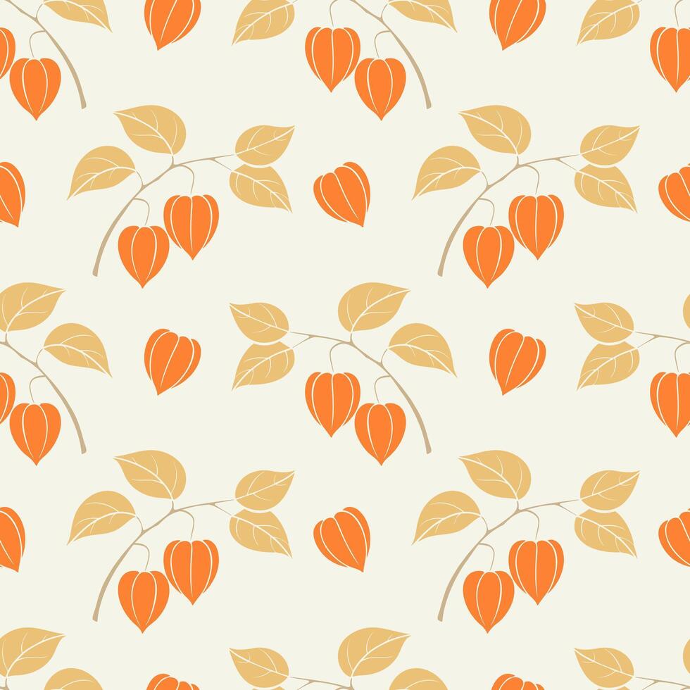 Physalis autumn pattern, decorative branch of dried flowers on beige pastel background. vector