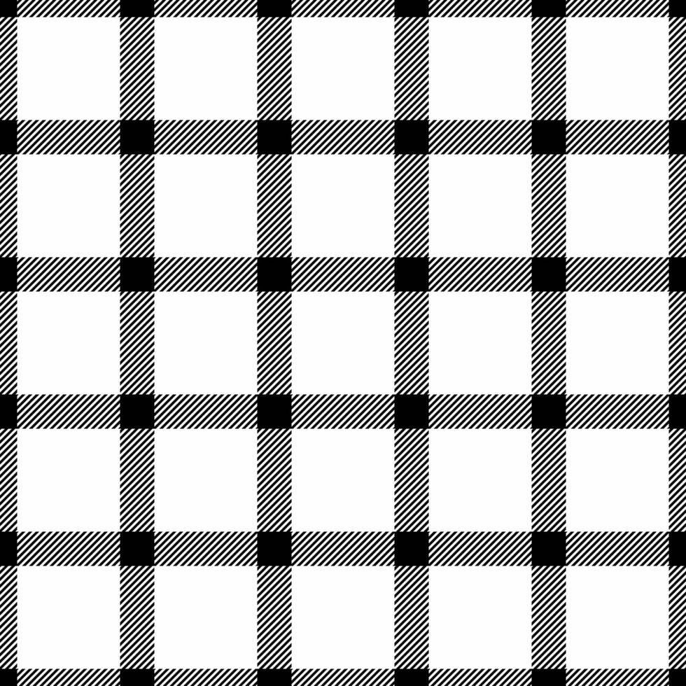 Commercial fabric pattern , serene texture tartan textile. Lady check background seamless plaid in black and white colors. vector