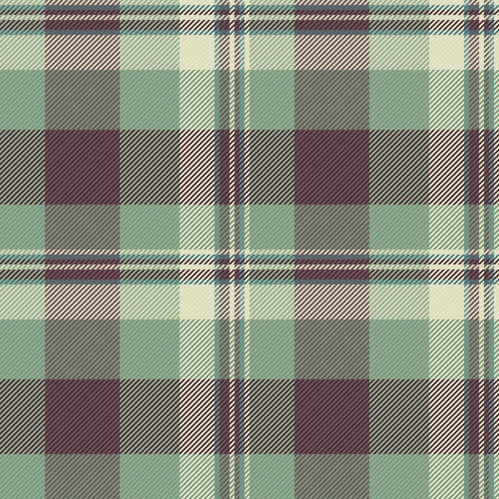 Texture background pattern of textile seamless plaid with a check tartan fabric . vector