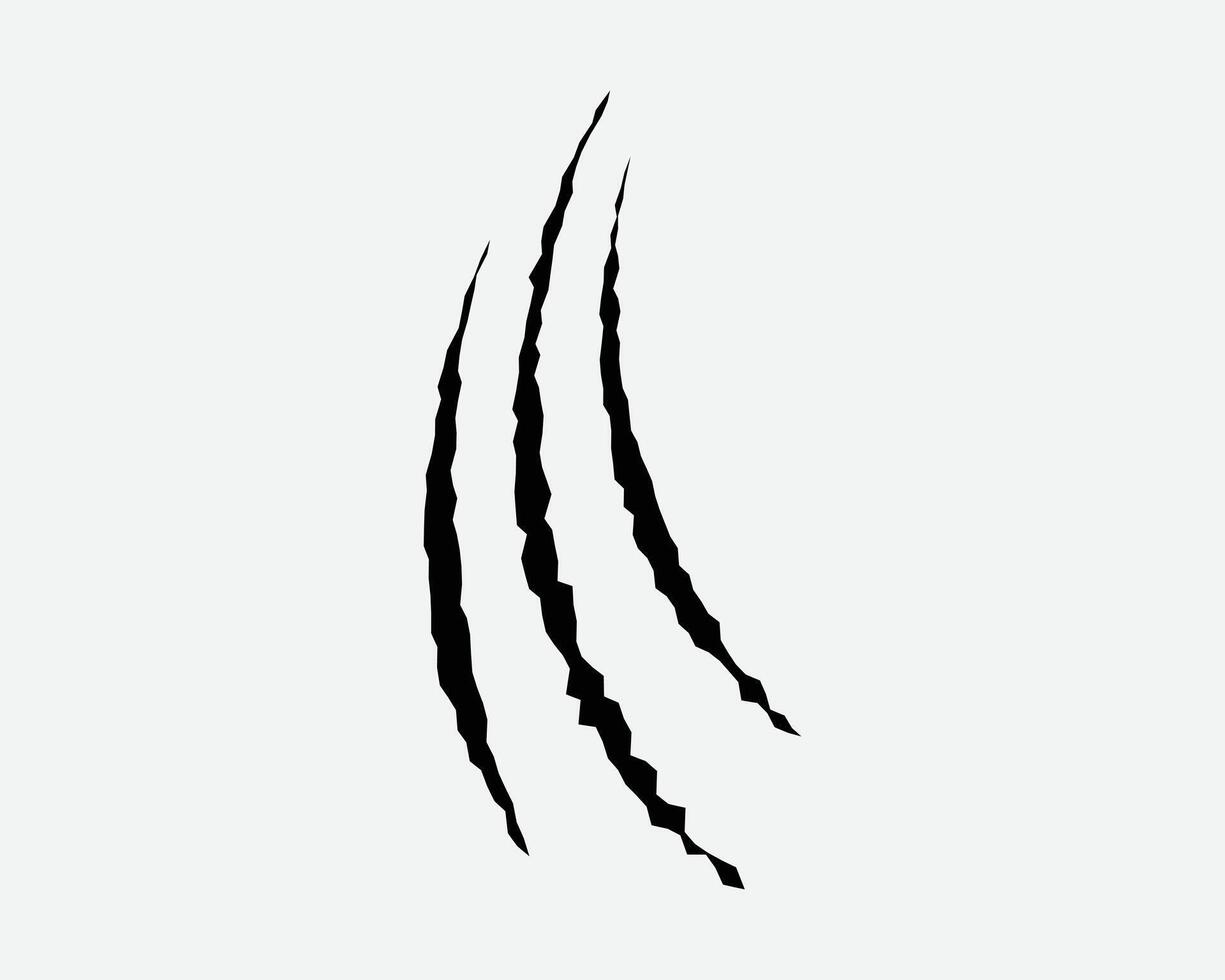 Claws scratches, animal monster mark design element, tattoo and decor for halloween. Black silhouette. vector