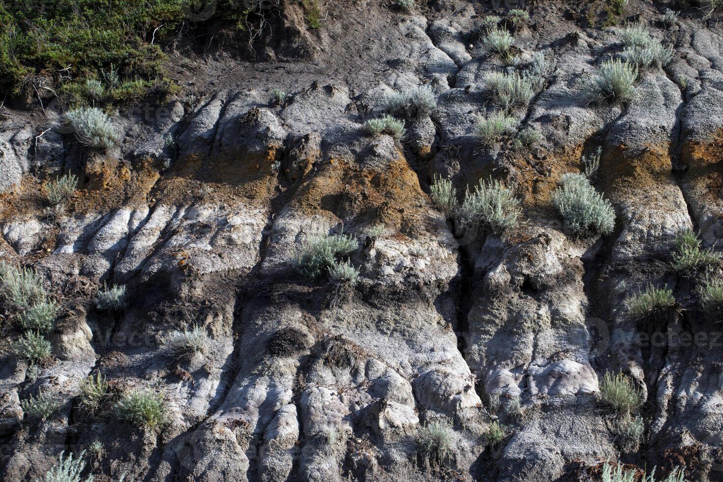 Colorful Layered Rock Formations With Sparse Vegetation in a Dry Climate photo