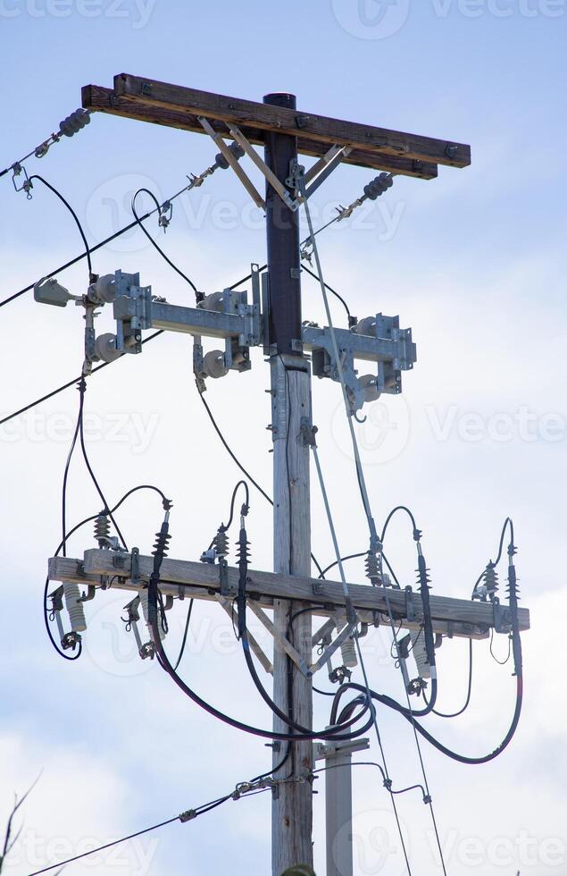 Wooden Power Pole With Multiple Wires and Insulators Against Blue Sky photo