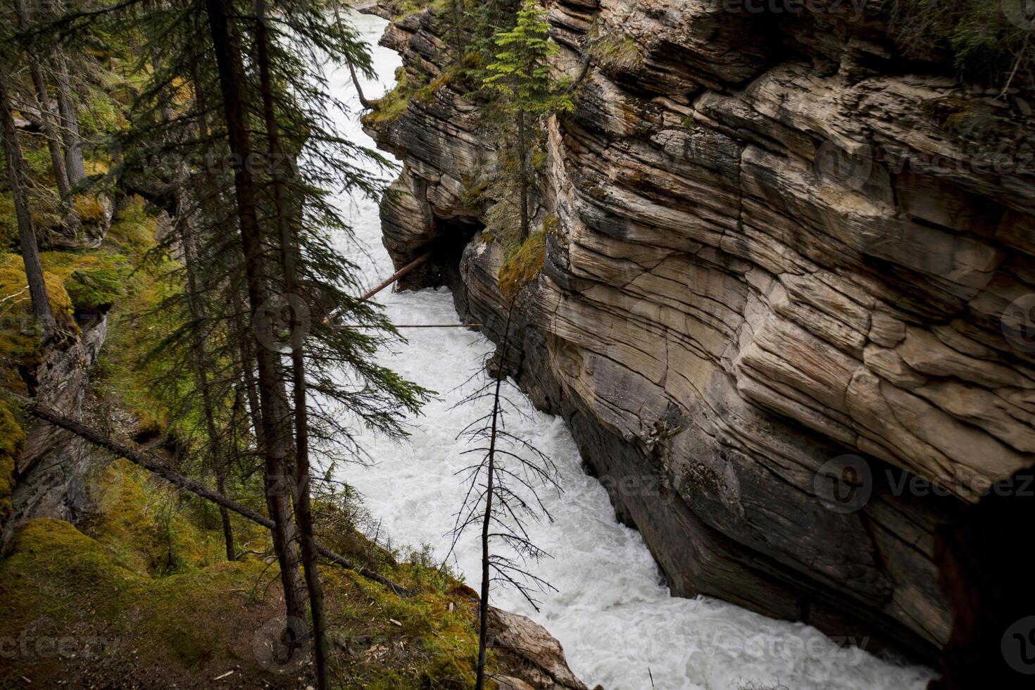A View of the Powerful River Flowing Through a Narrow Canyon in Canada photo