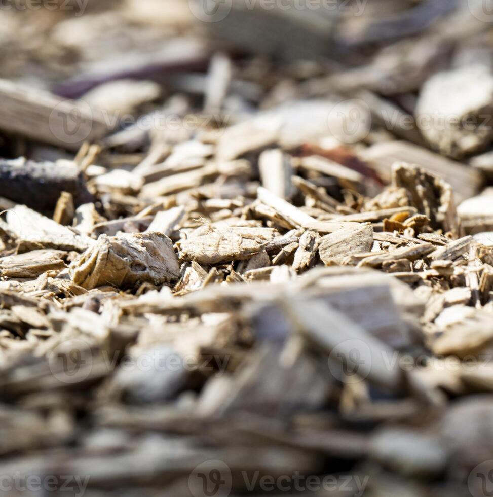 Close Up Of Light Brown Wood Chips On Ground photo