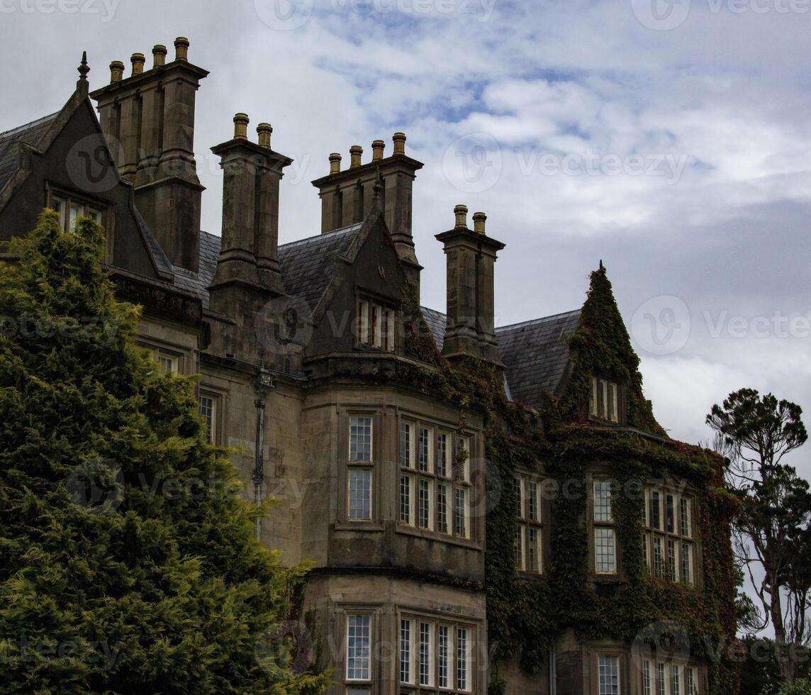 An Overcast Day at a Stone Mansion Covered in Ivy, in Ireland photo