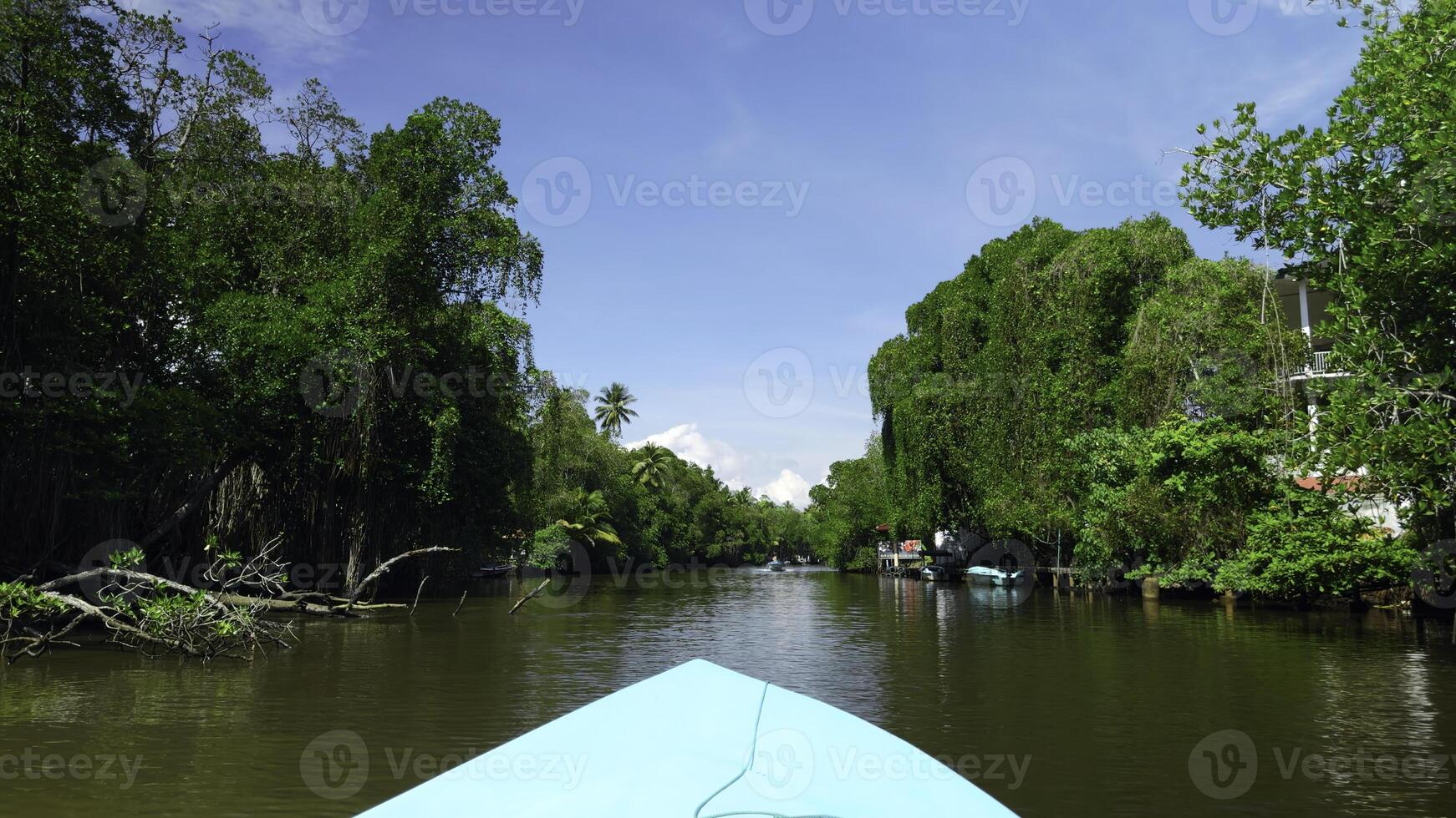Boat trip on tropical river. Action. Beautiful hiking trip along river in tropical jungle. River boat trip in tropical area on sunny summer day photo