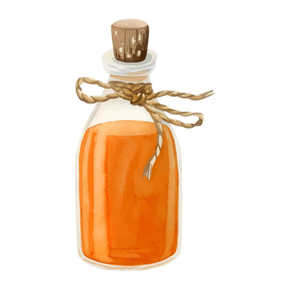 Orange oil of sea buckthorn berries in glass bottle with cork and decorative rope jute bow watercolor illustration vector