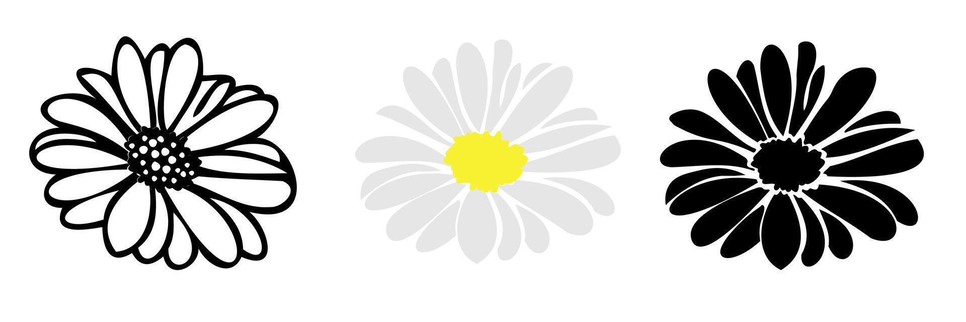 Daisy floral elements hand drawn vector