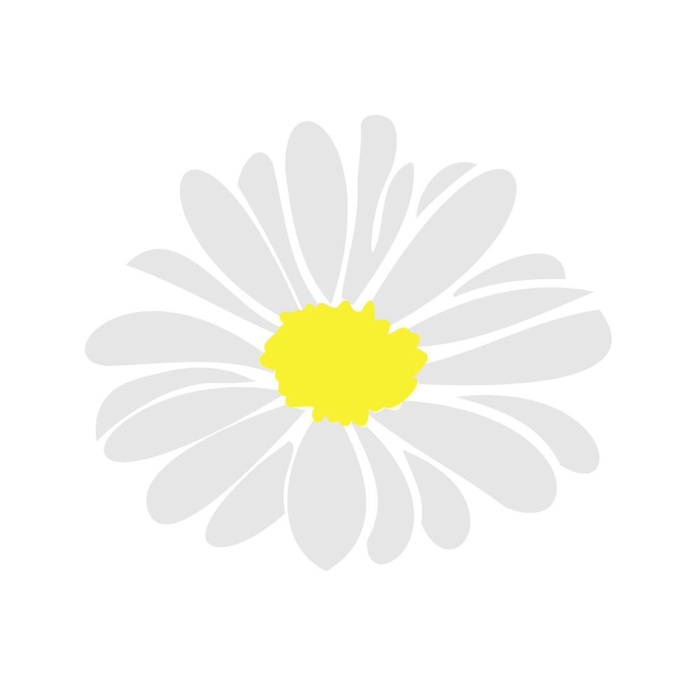 margarita elementos florales dibujados a mano vector