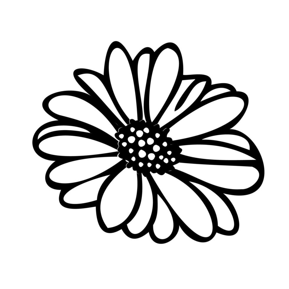 Daisy floral elements hand drawn vector