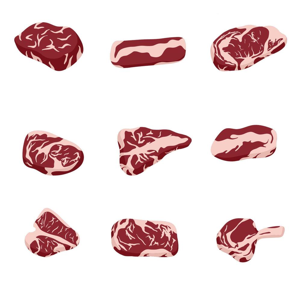 Red beef steaks collection. Set of raw delicious pieces of pork and beef. Cold cuts. Rib eye, tenderloin and brisket vector