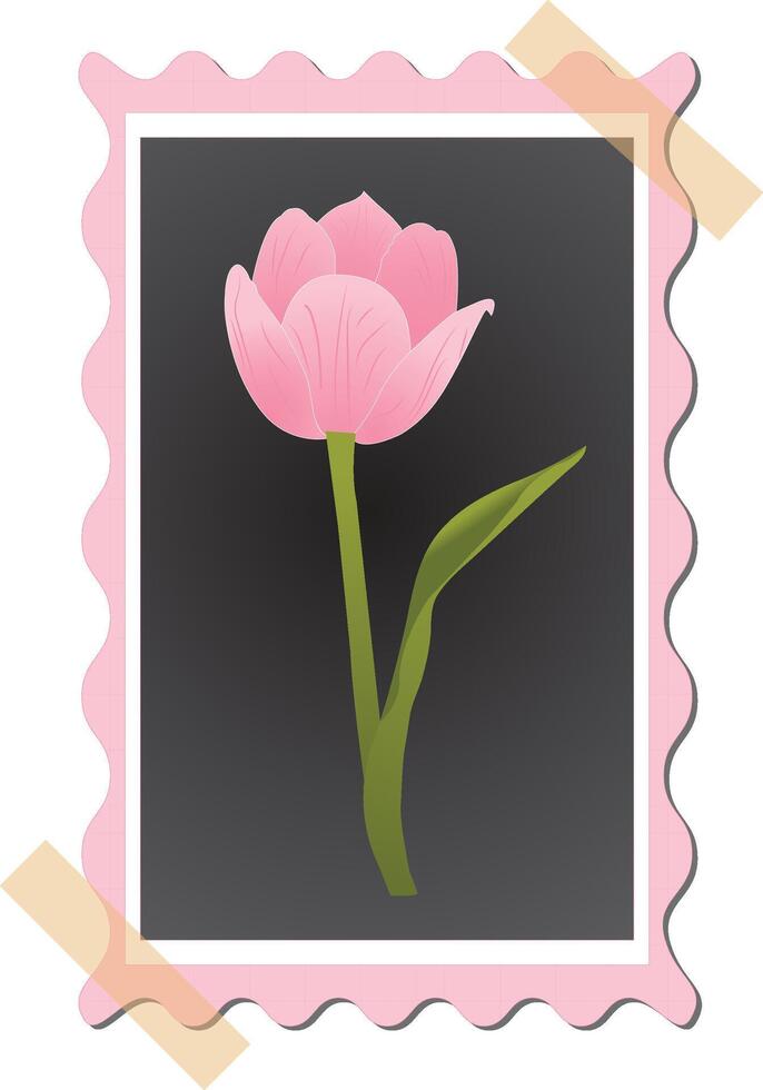 Beautiful Pink Tulip art Illustration, Photo Frame, Wall Decoration vector