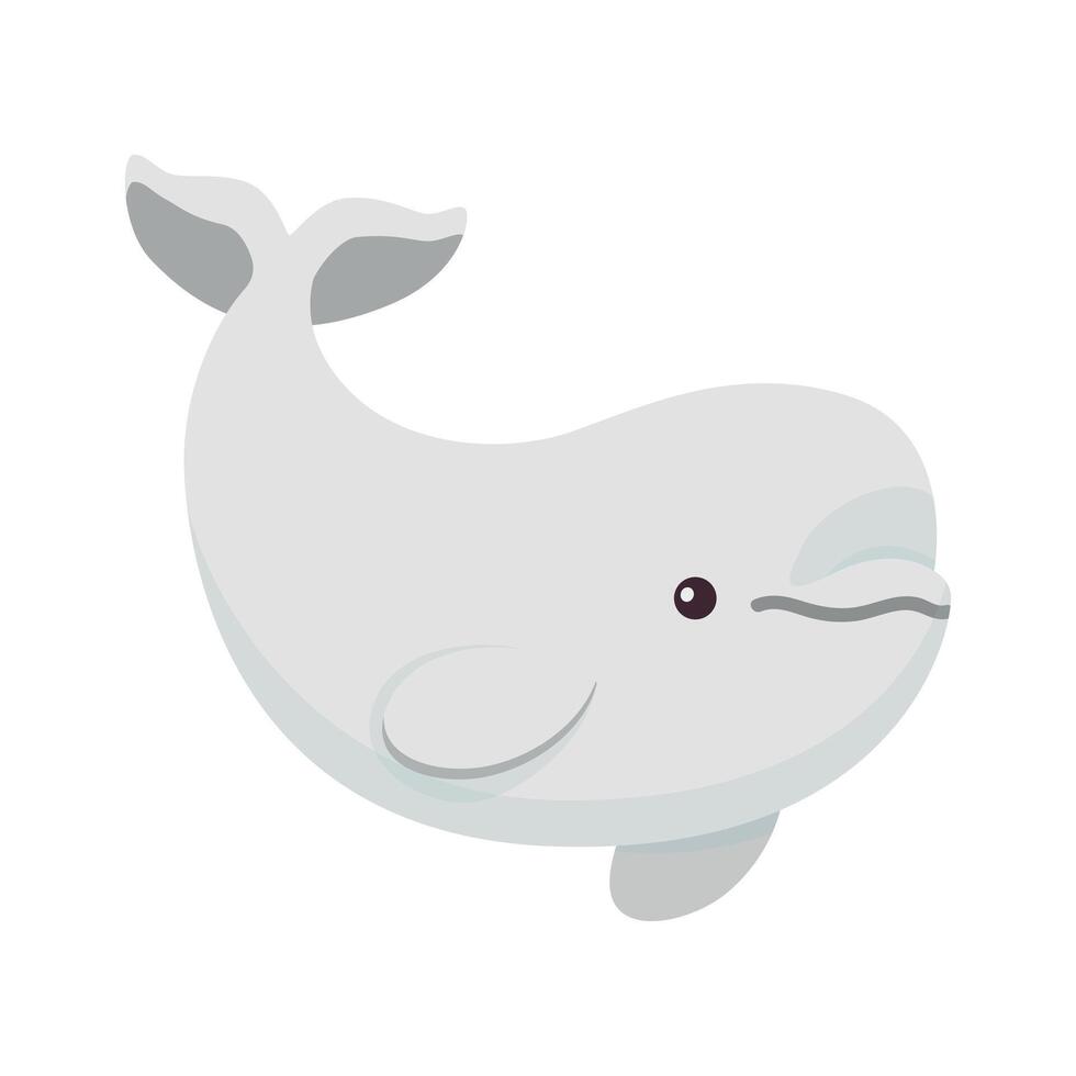 Beluga illustration. White whale art. White background. Cartoon graphics. vector
