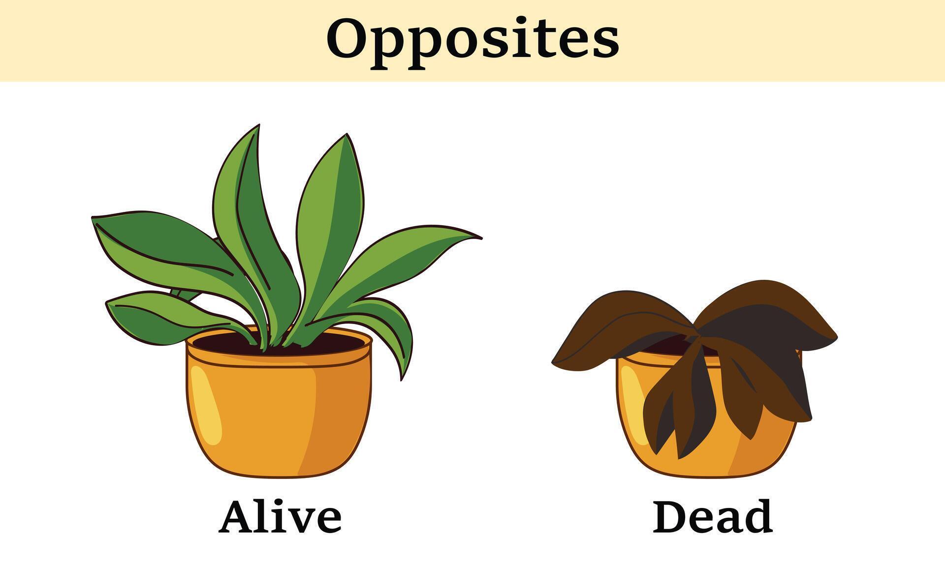 Learning material for kids opposites alive and dead. Cartoon