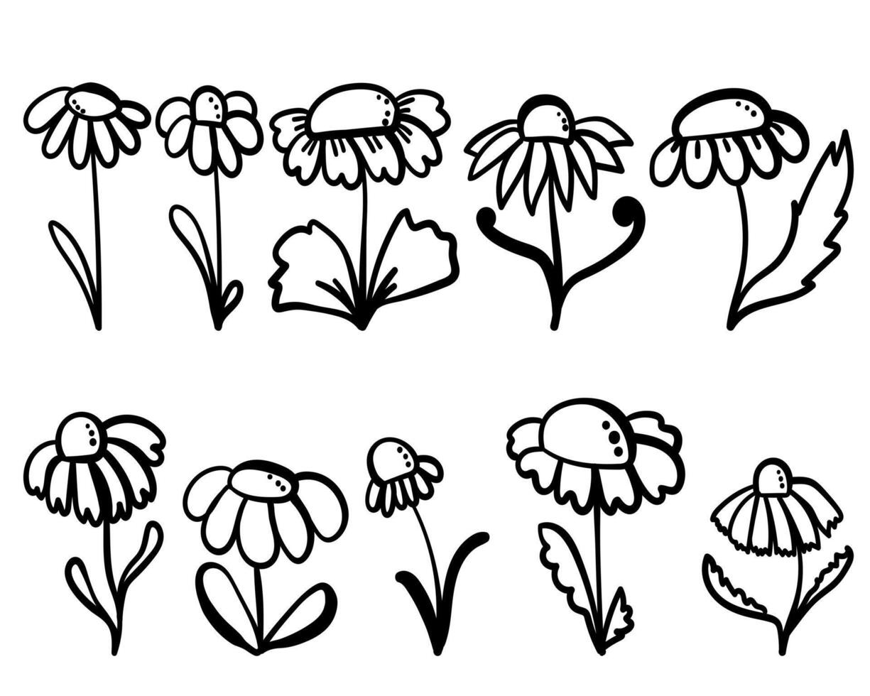 Set of fantasy flowers in doodle style, hand drawn flowering plants for cards, design or coloring creation pages vector