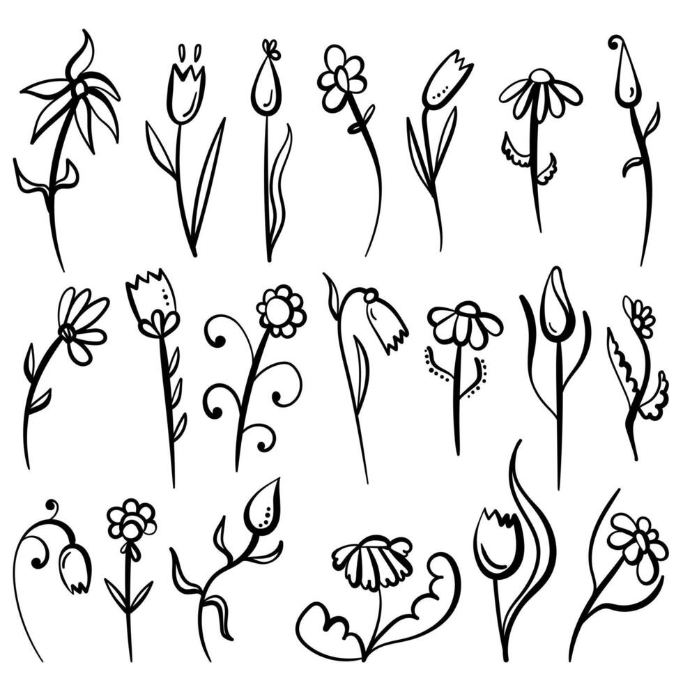 Set of doodle outline flowers with different options for leaves and petals for creativity vector