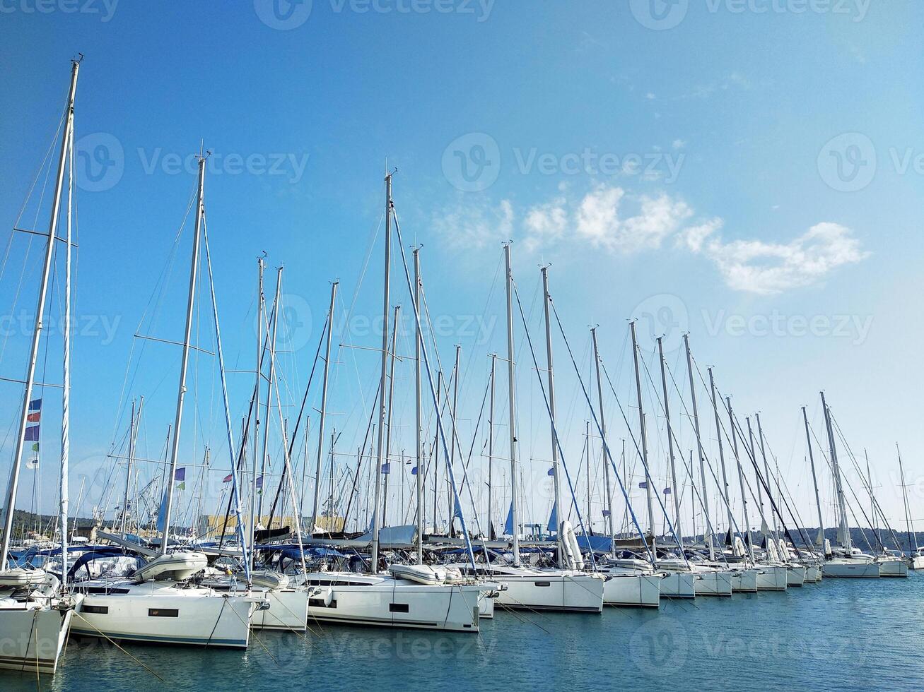 Sailing yachts are lined up in the marina on a sunny day photo