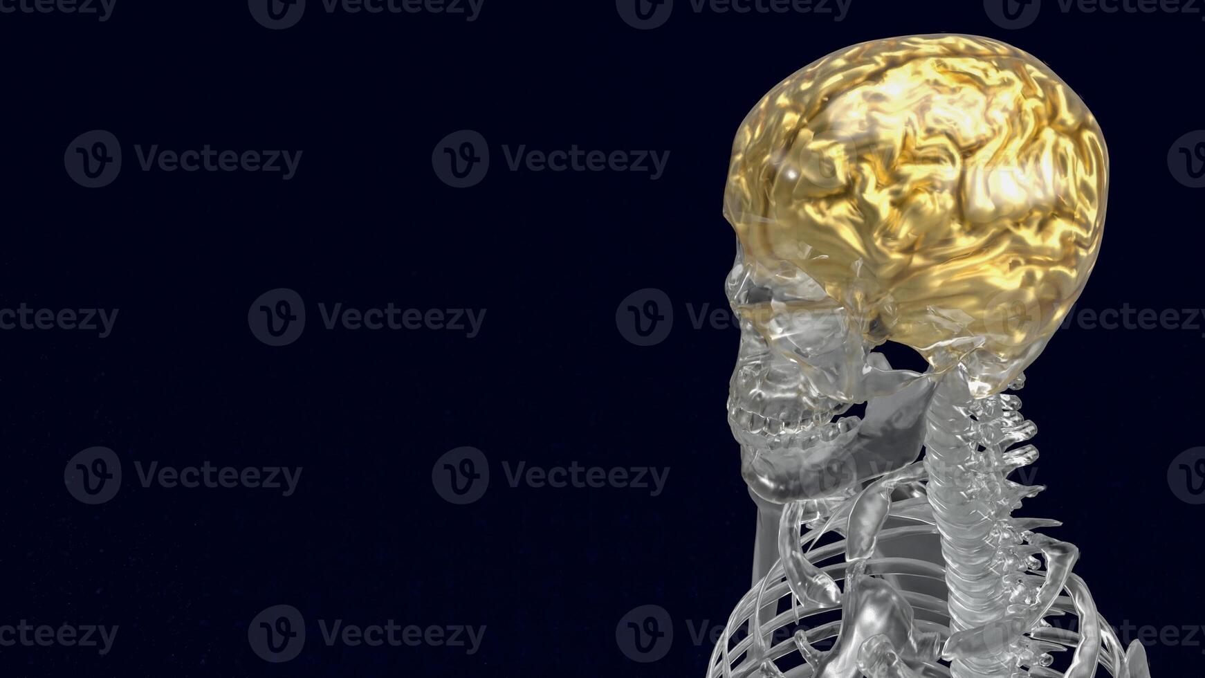 The crystal skeleton and gold brain for education or health concept 3d rendering. photo