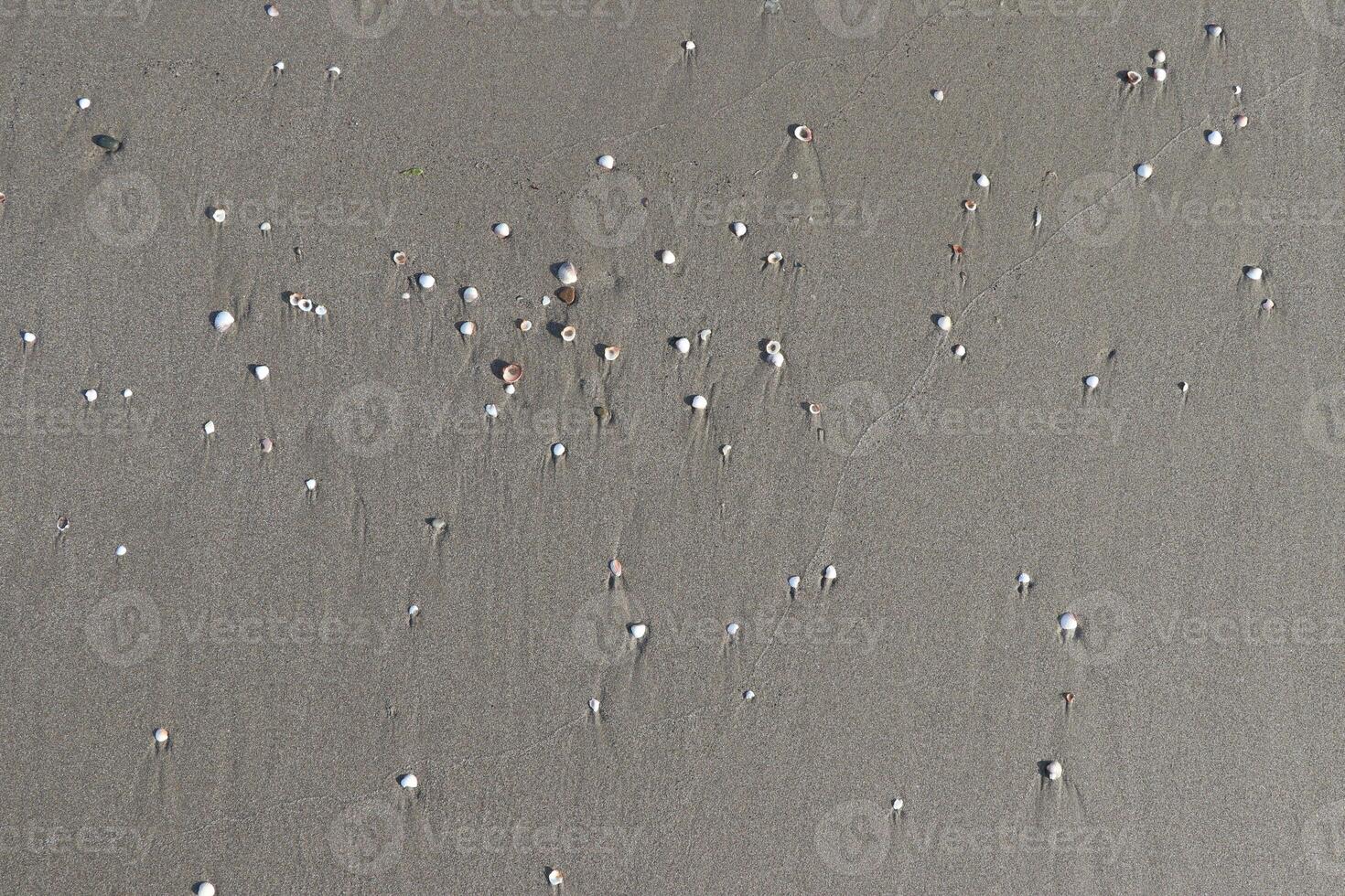 The texture of coastal and sandy land photo