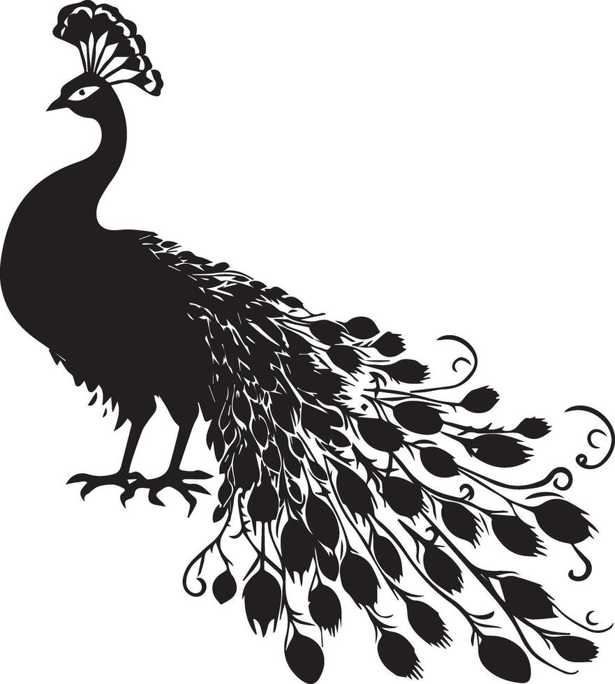 Silhouette Peacock Animal Image vector