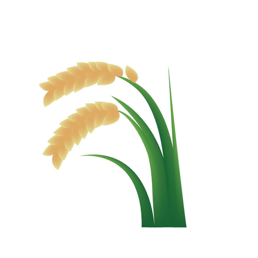 Hanging rice ears illustration isolated on white background. Rice plant emoji. vector