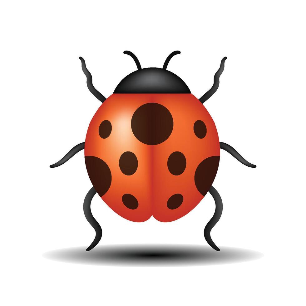 Ladybug emoji illustration isolated on white background. Cute ladybird cartoon. 3d illustration vector