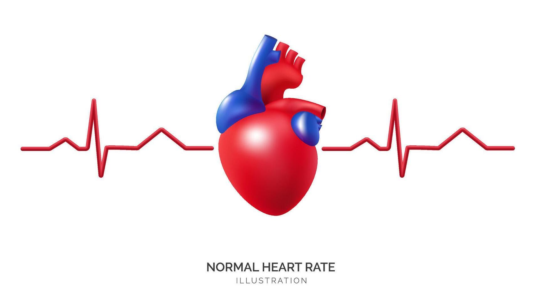 3D icon illustration of a human heart, and rate cardiology and healthcare. Represent normal heart rate pulse, blood flow, and cardiac rhythm, heart health and treating diseases. Not AI. vector