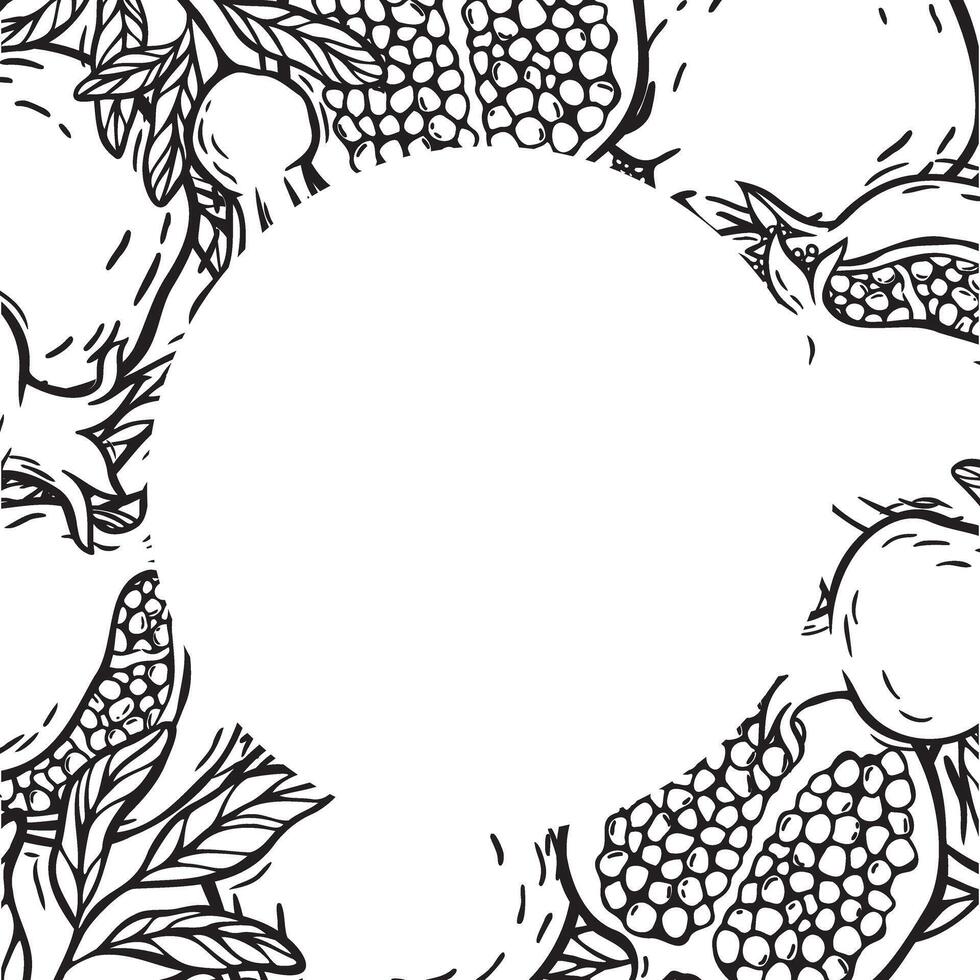 Round frame with fruits and pomegranate leaves, round field for text. botanical black and white round frame, hand drawn in graphic style. Drawing for food and cosmetics packaging design, menu. vector