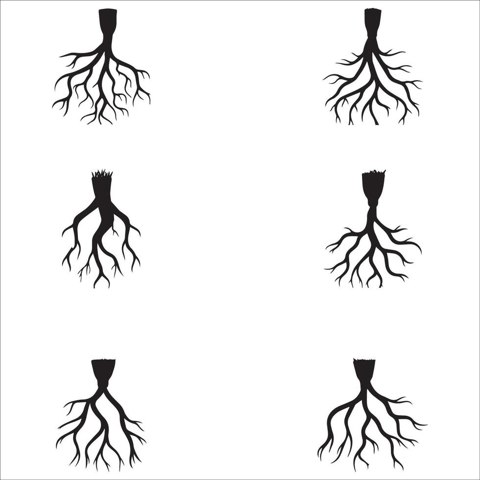 Collection of tree roots illustration in black and white vector