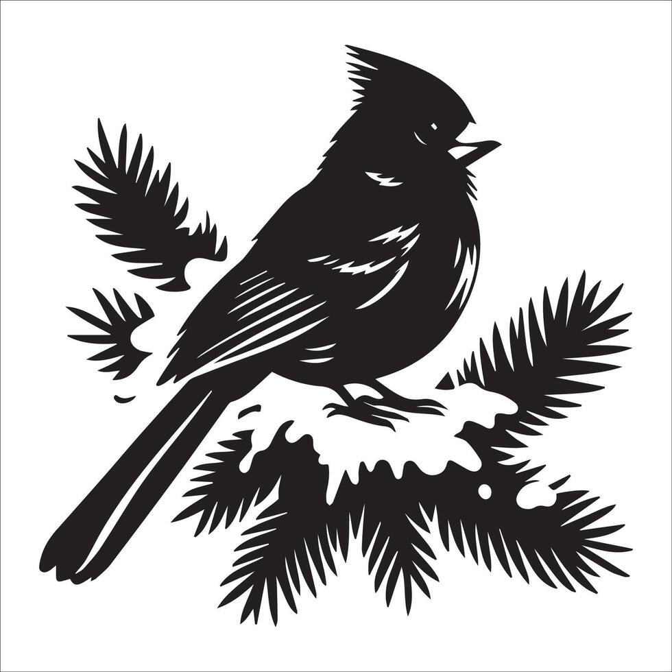 A Northern cardinal bird perched on a snowy evergreen branch illustration in black and white vector