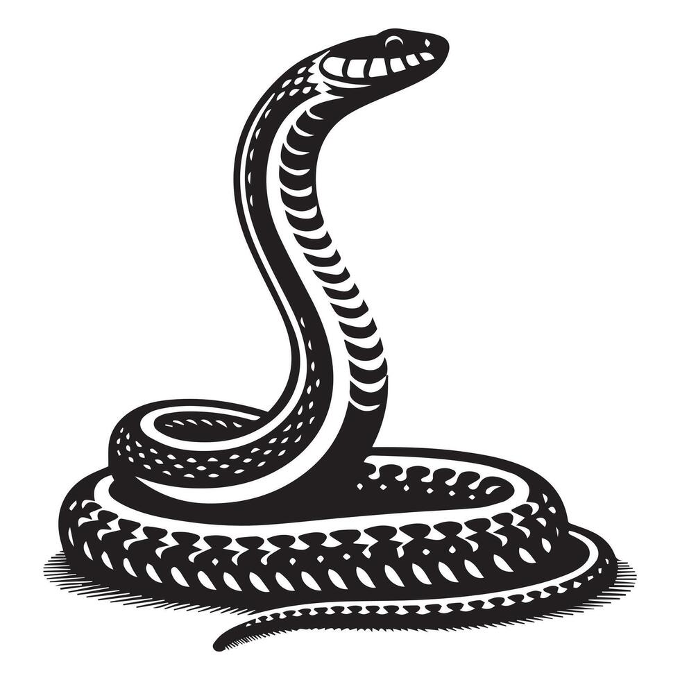 Garter snake illustration in black and white vector