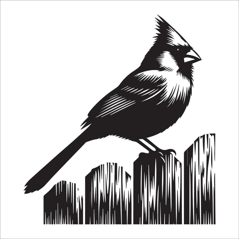 Northern Cardinal Bird Graphic - Bird illustration in black and white vector