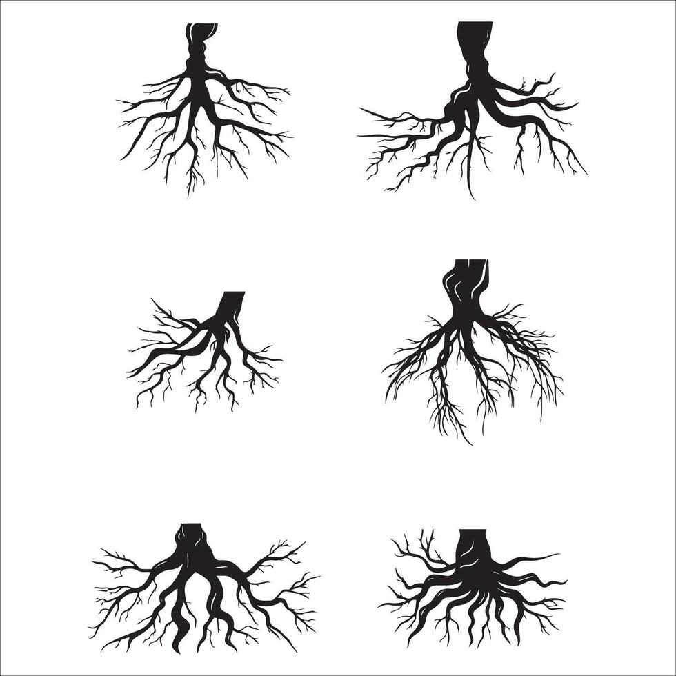 Collection of tree roots illustration in black and white vector