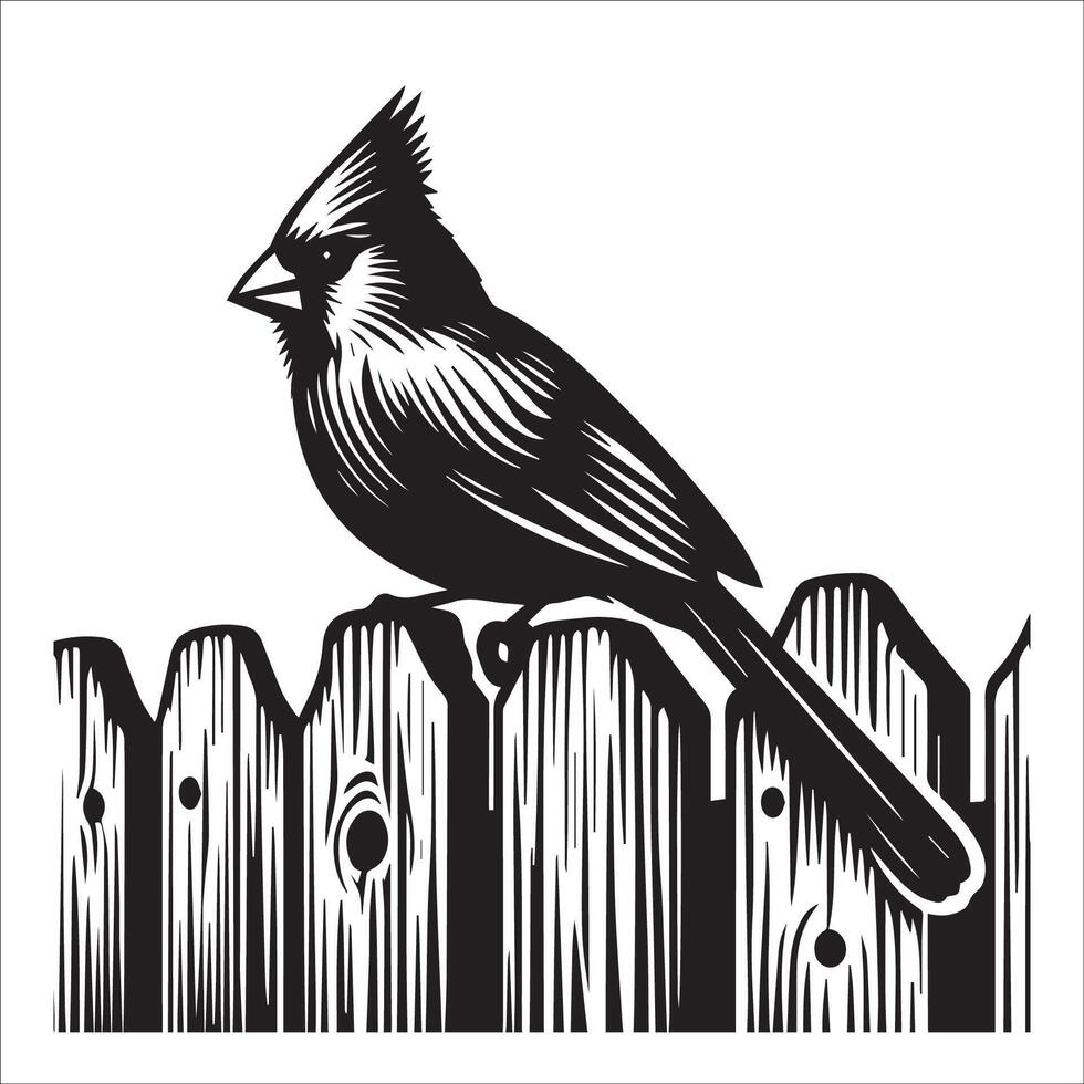 A Northern cardinal bird sitting on a rustic wooden fence illustration in black and white vector