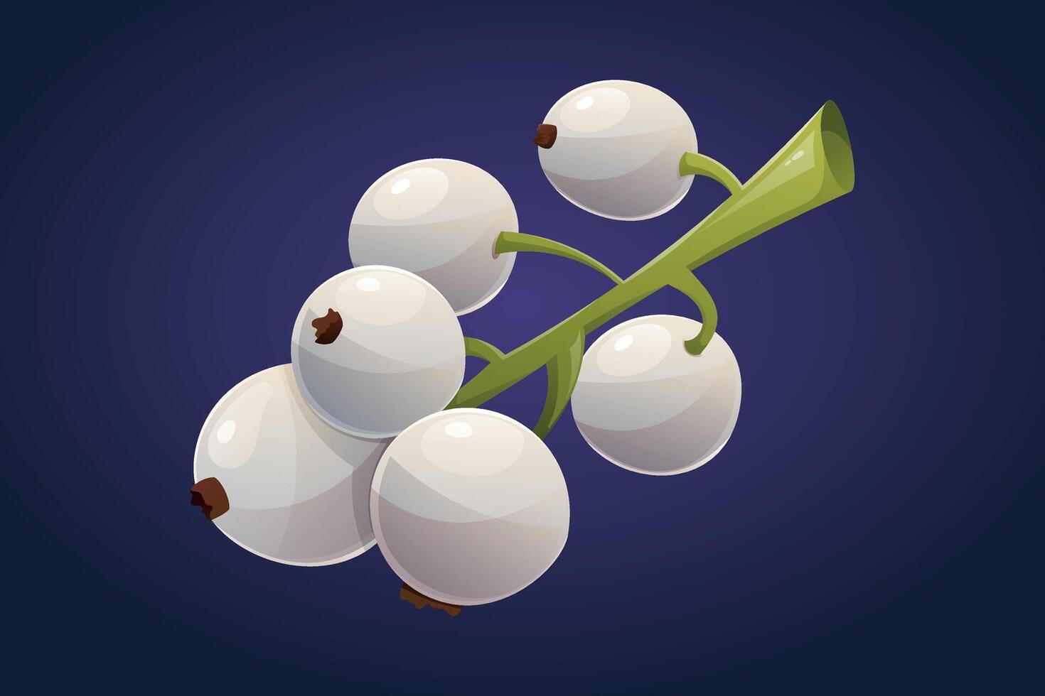 Branch with wild white currant berries. isolated cartoon illustration. vector
